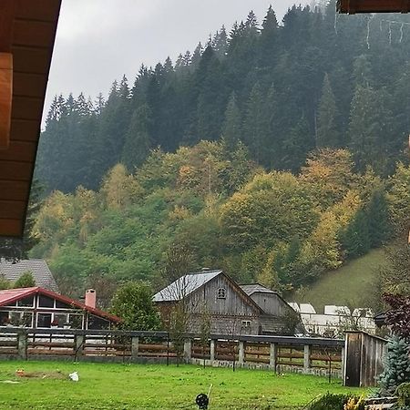 Casa De Poveste Sucevita Esterno foto
